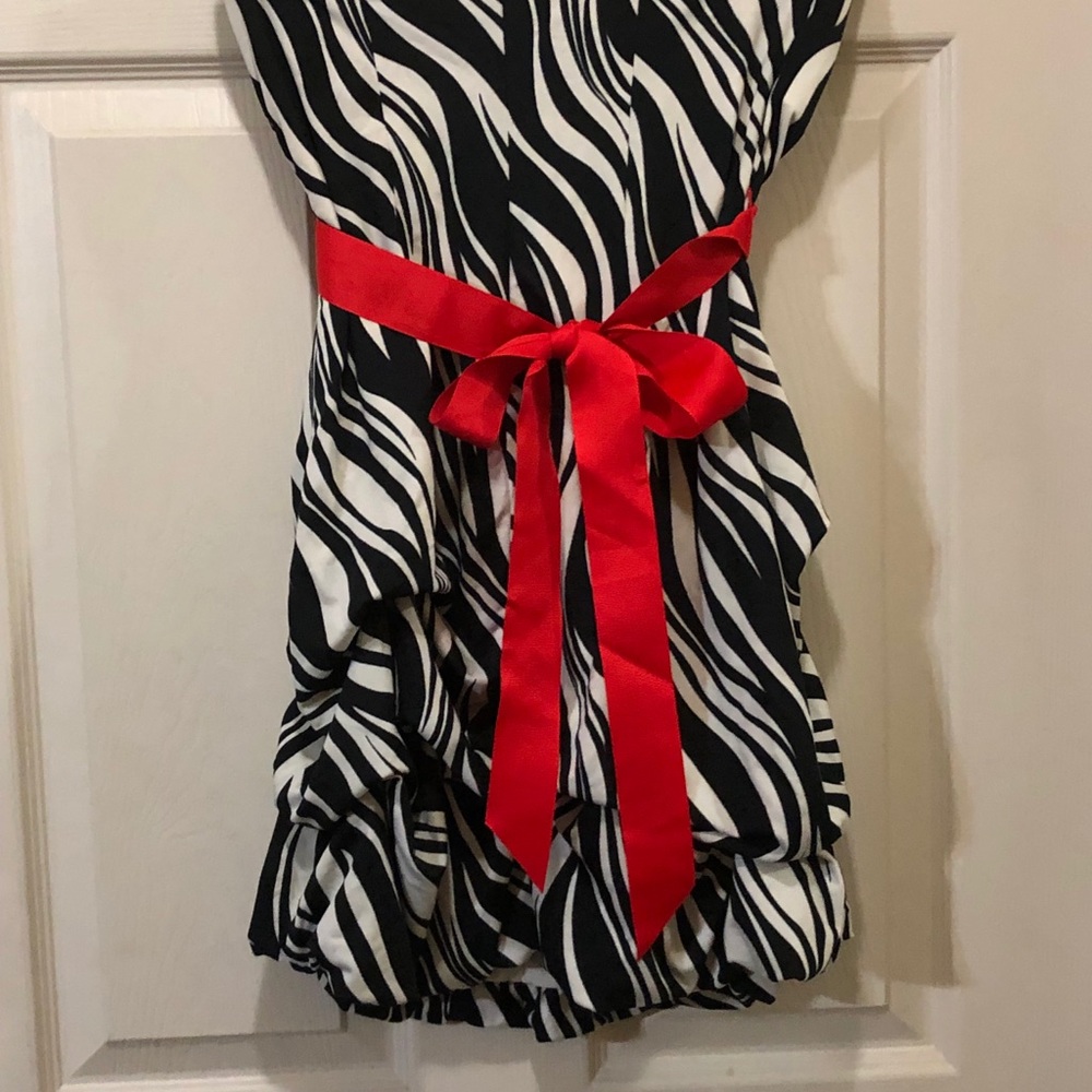 Zebra stripe dress